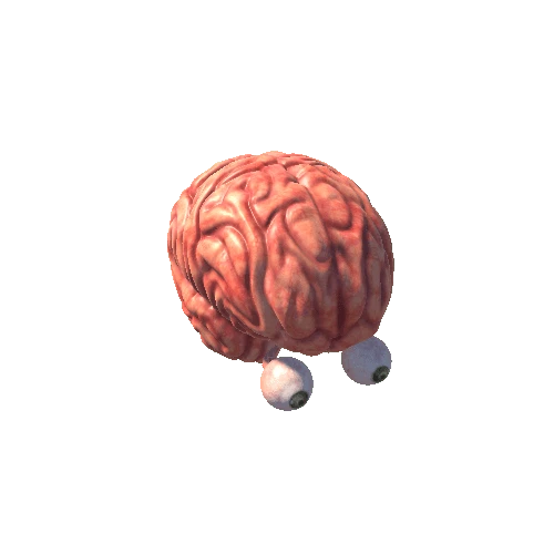 Visual system brain animation 1